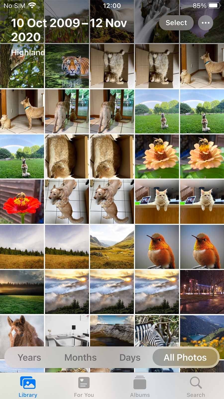 アプリを使わずにiPhoneで重複した写真とビデオを削除する