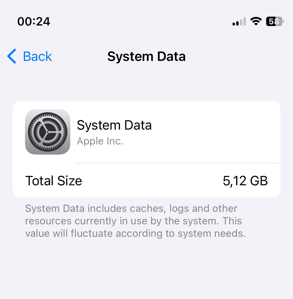 System Data on iPhone