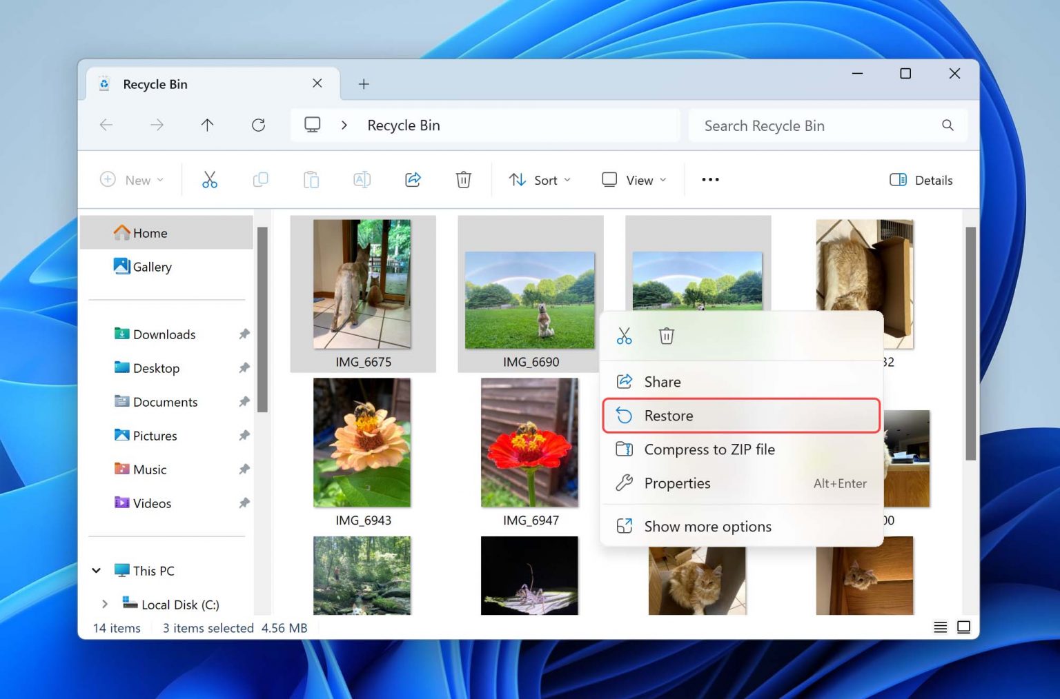 How to Get Back Deleted Images Quickly and Easily
