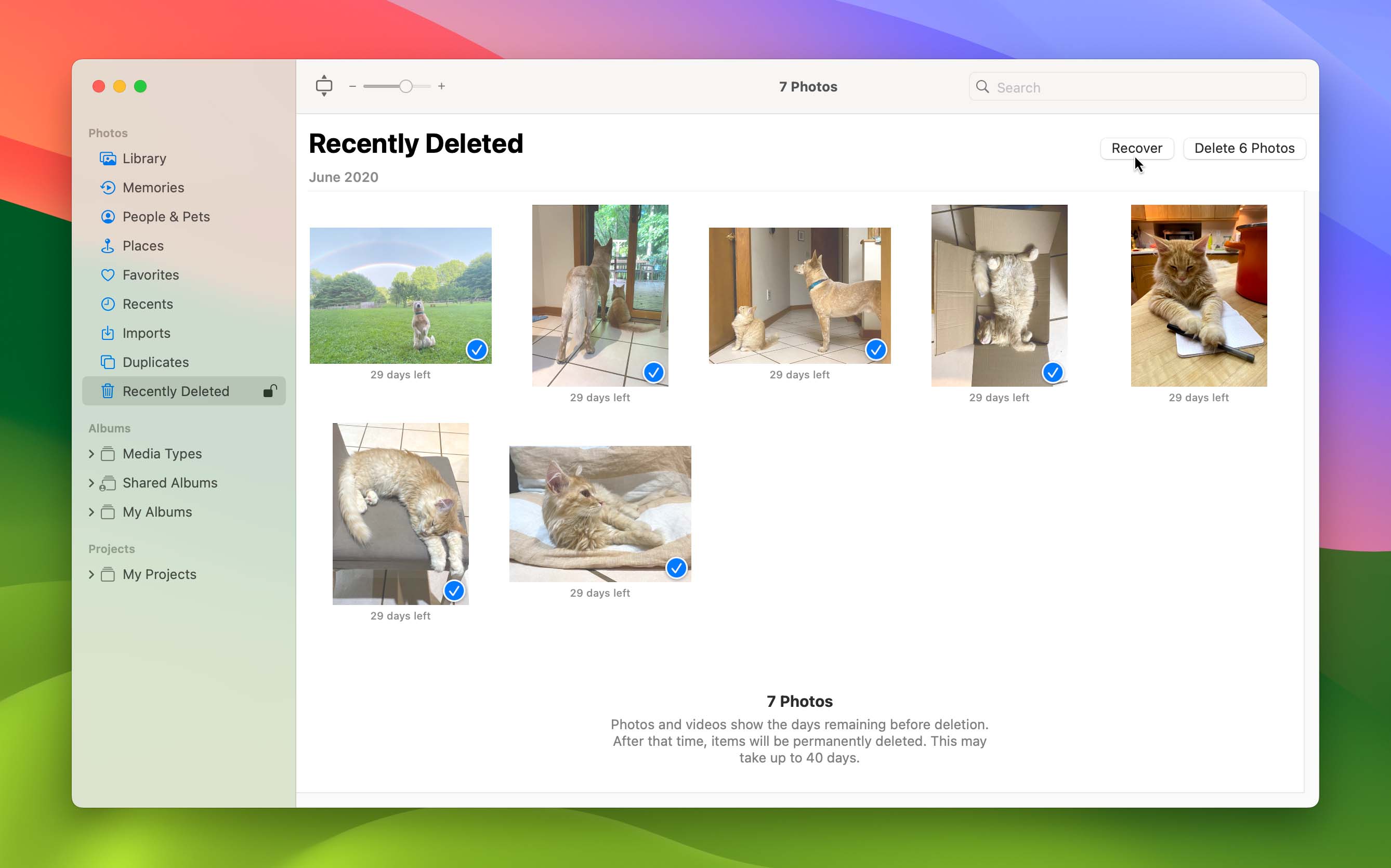 restore photos from recently deleted folder in Photo app