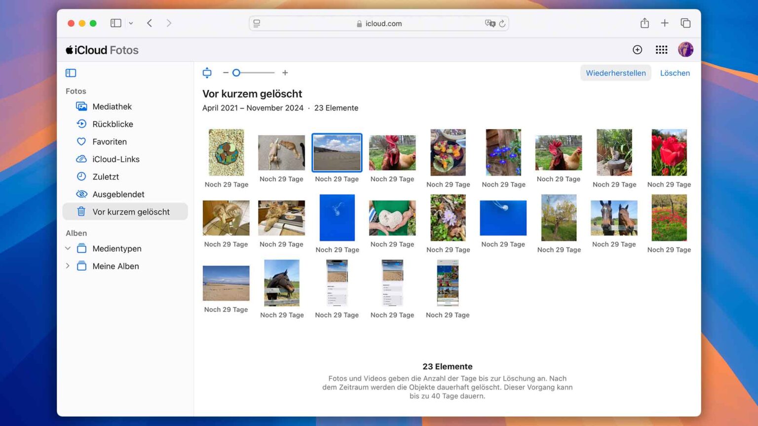 Wie gelöschte Fotos von einem iPhone wiederherstellen (2024)