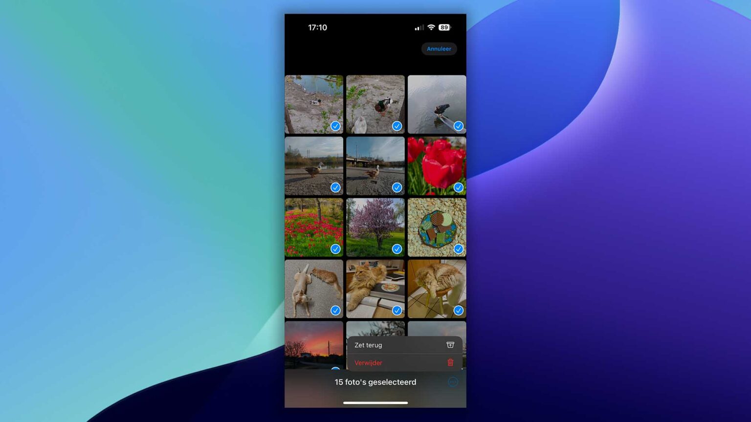 6 manieren om verwijderde foto's terughalen op iPhone (2024)