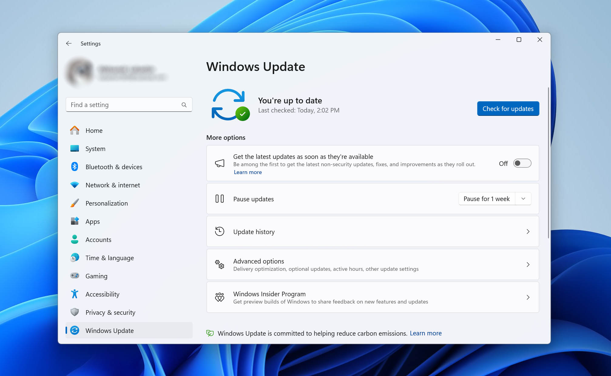 check for windows updates