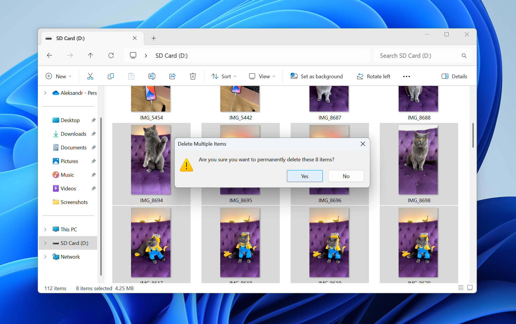 file deletion from SD card on Windows 11