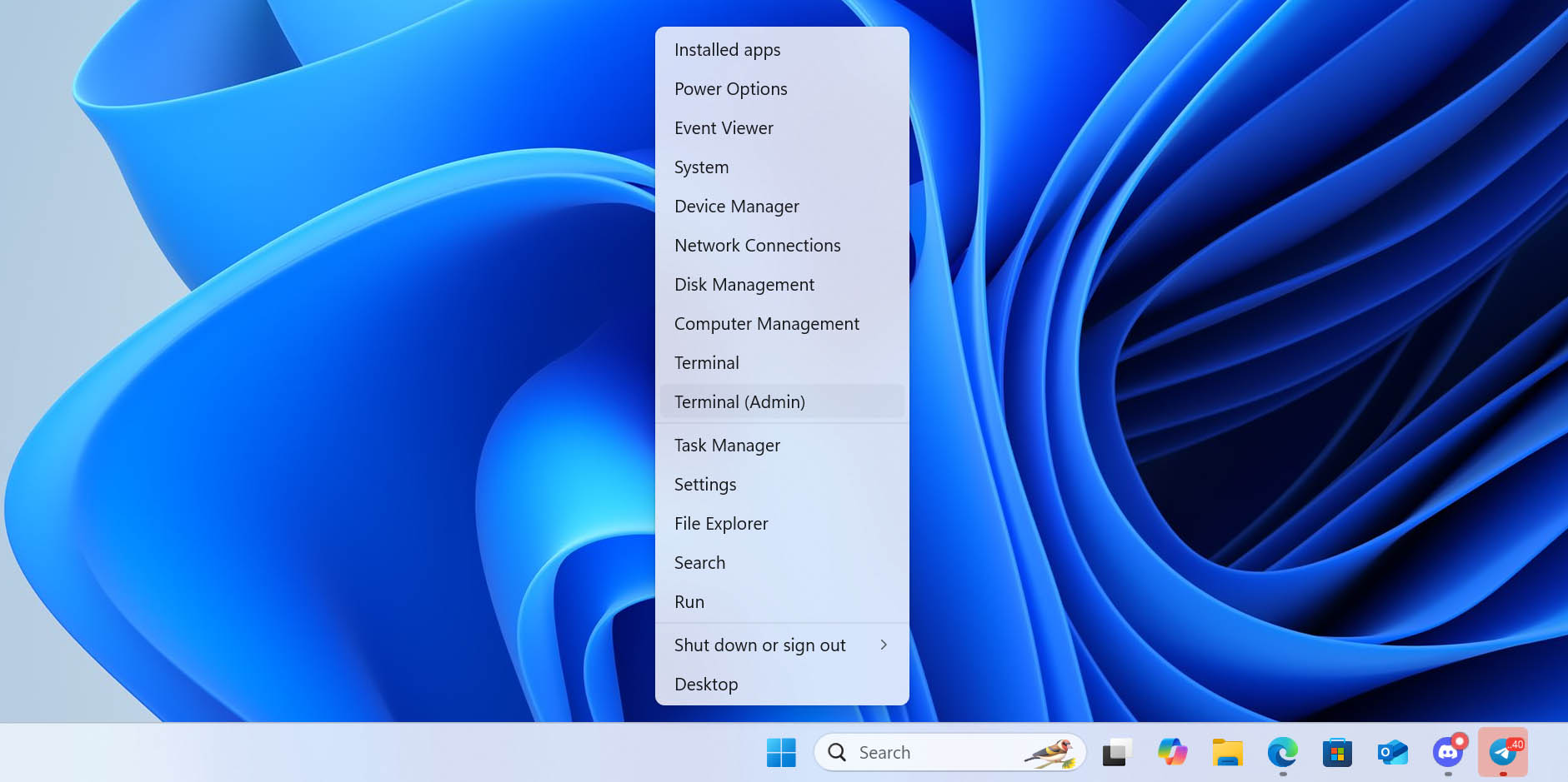 run terminal app on windows 11