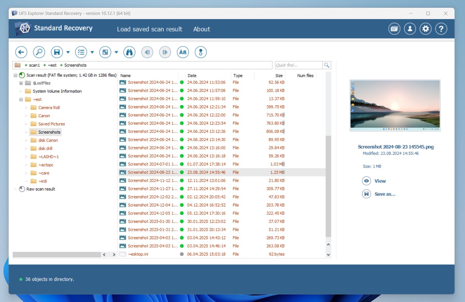 preview panel in program main window