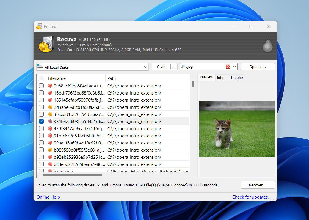 recuva found files