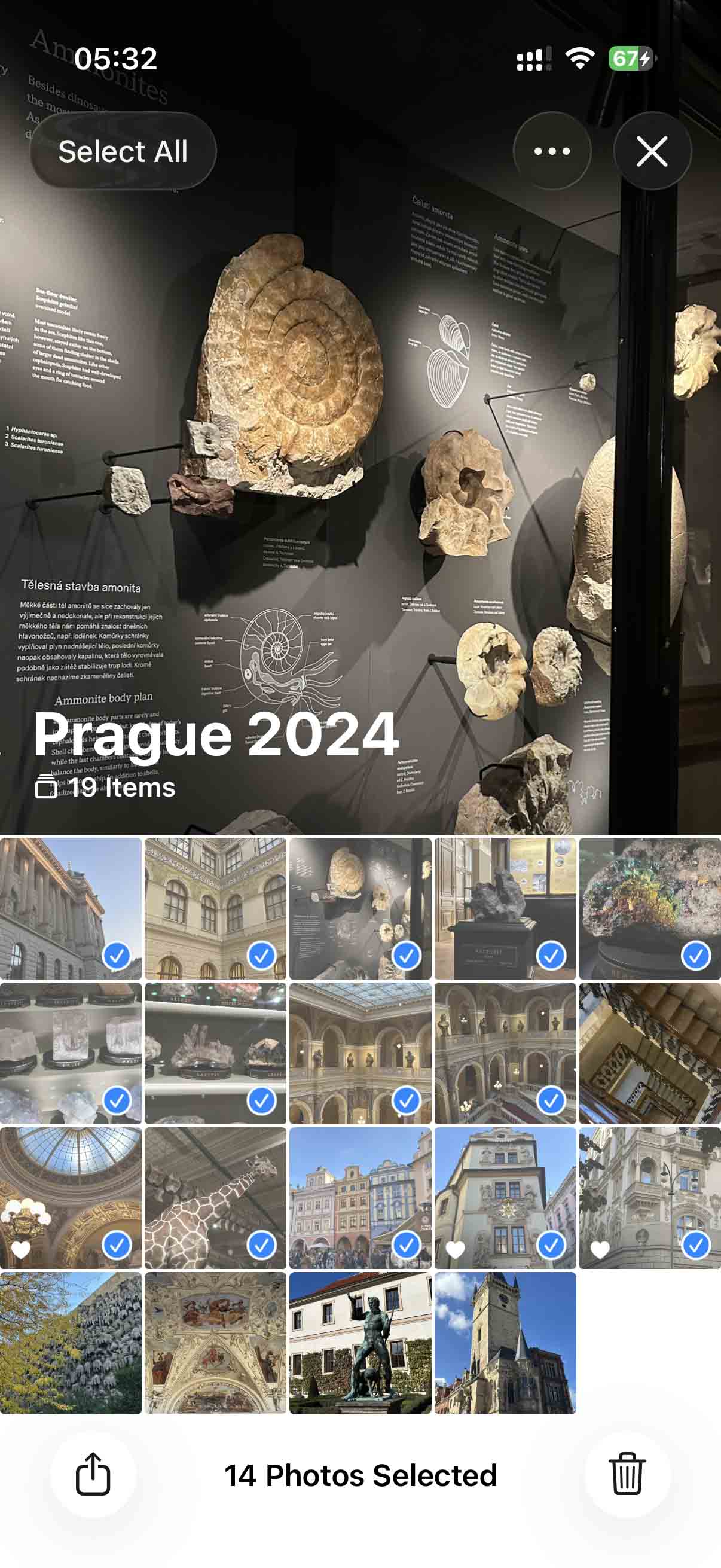 Tap the Trash button in the Photos app.