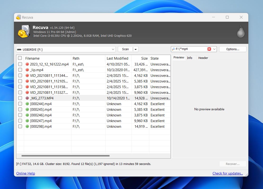recuva found files