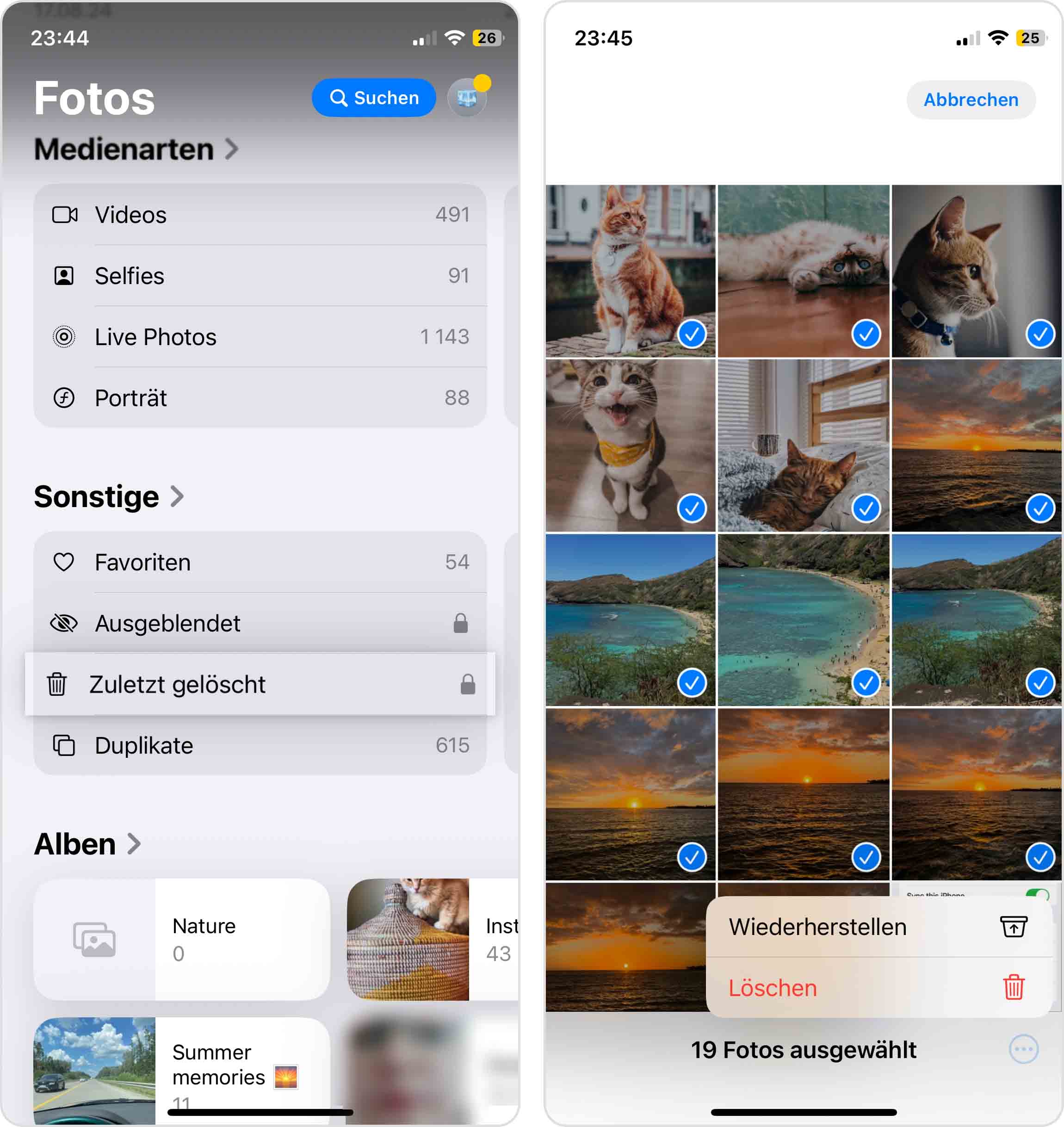 Fotos aus Zuletzt gelöscht-Album wiederherstellen