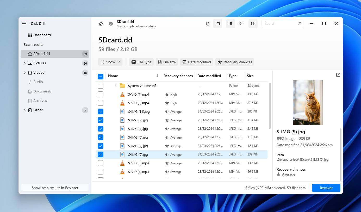 Previewing the recoverable files.