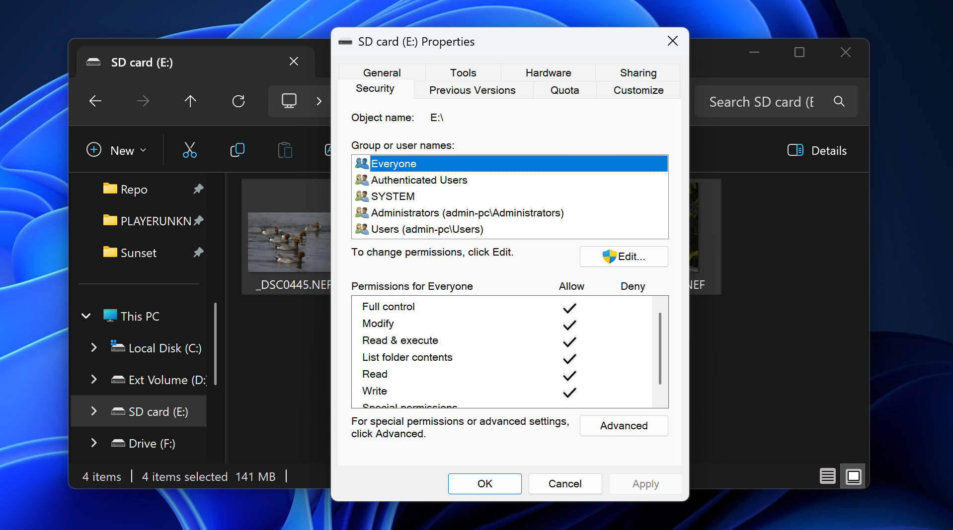 add everyone to access sd card