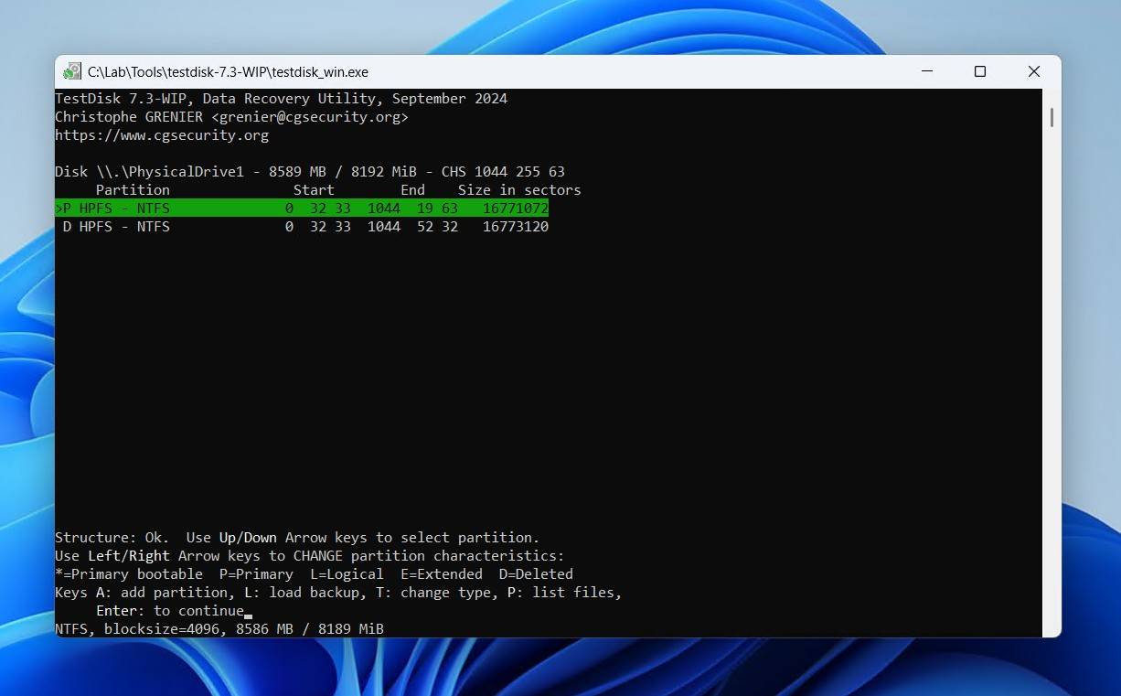 Selecting the lost partition.