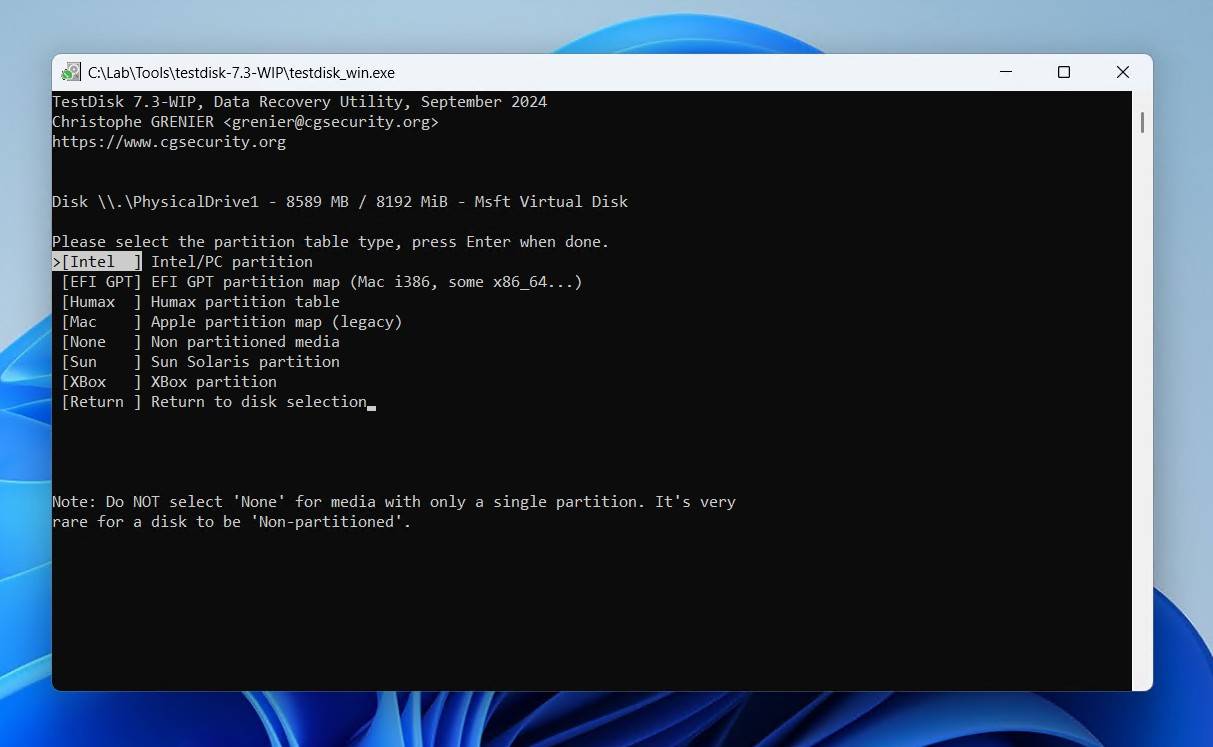 Choosing a partition table type.