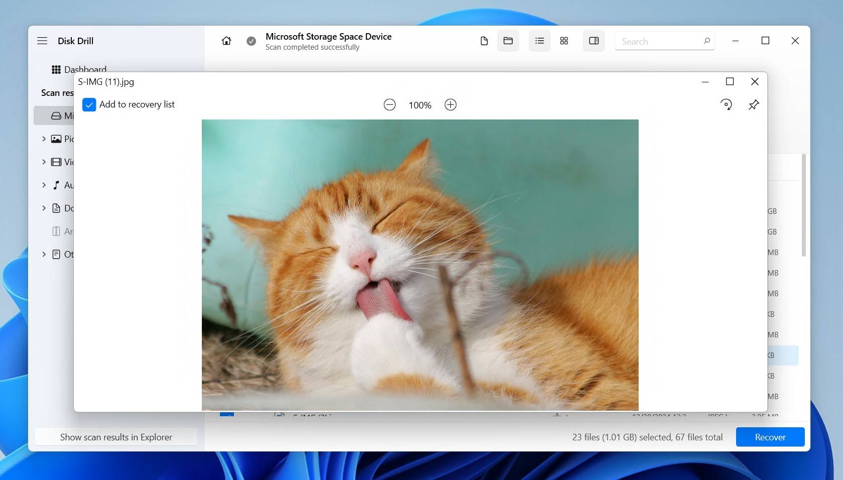 Previewing the recoverable files.