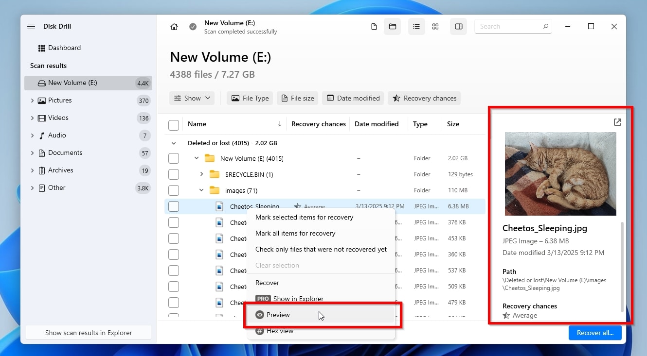 Disk Drill Preview Option and Pane
