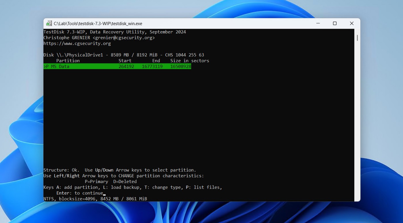 The recoverable partition.