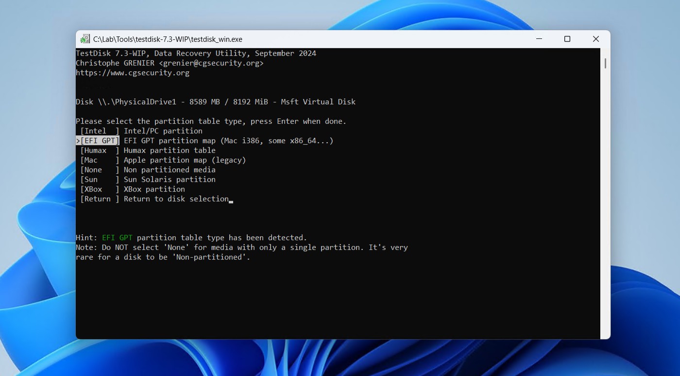 Selecting the partition table type.