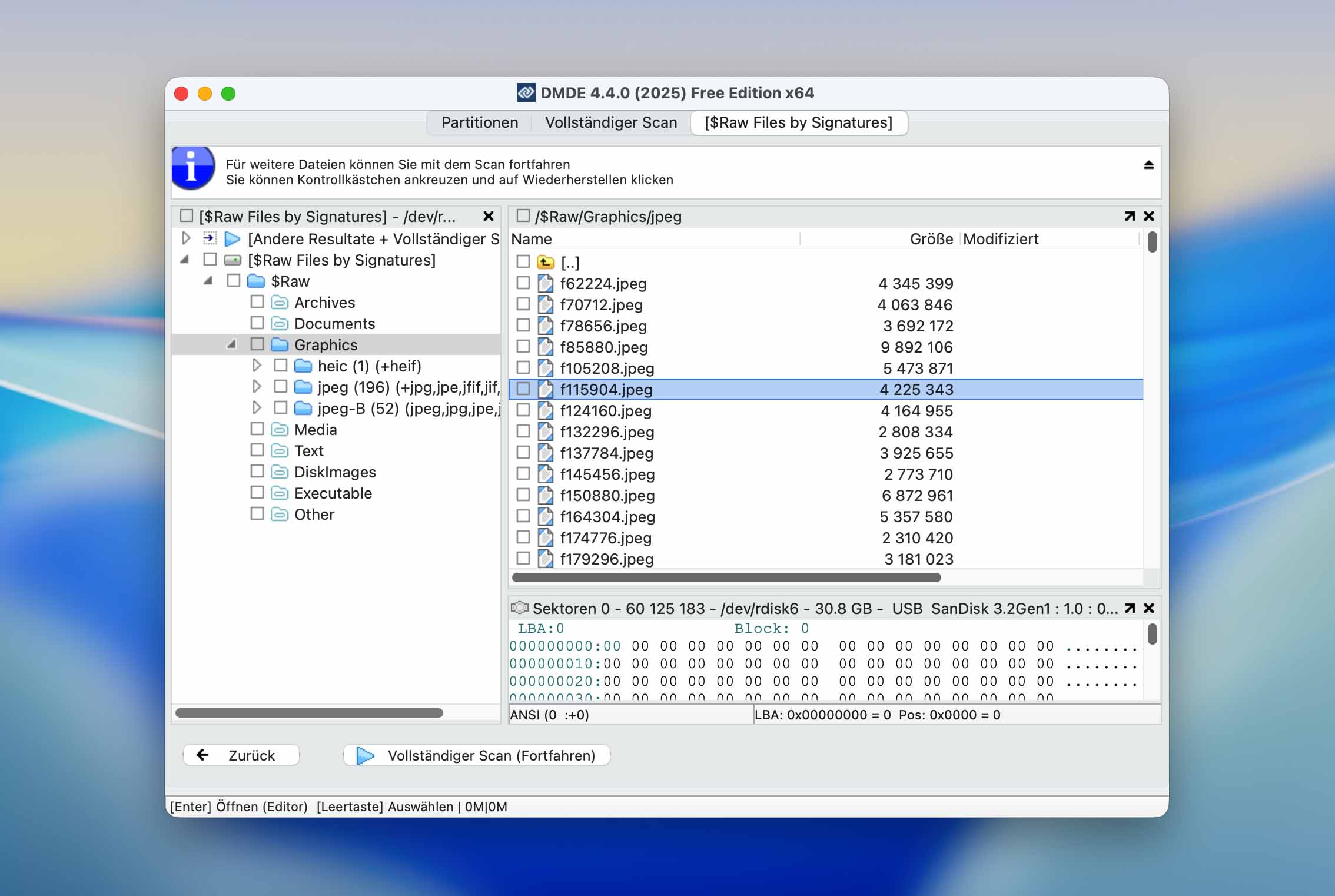 DM Disk Editor und Datenrettungssoftware