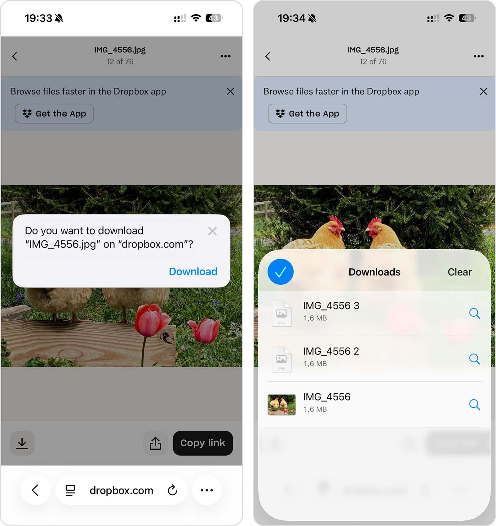 Duplicate photos created by downloading the same image multiple times.