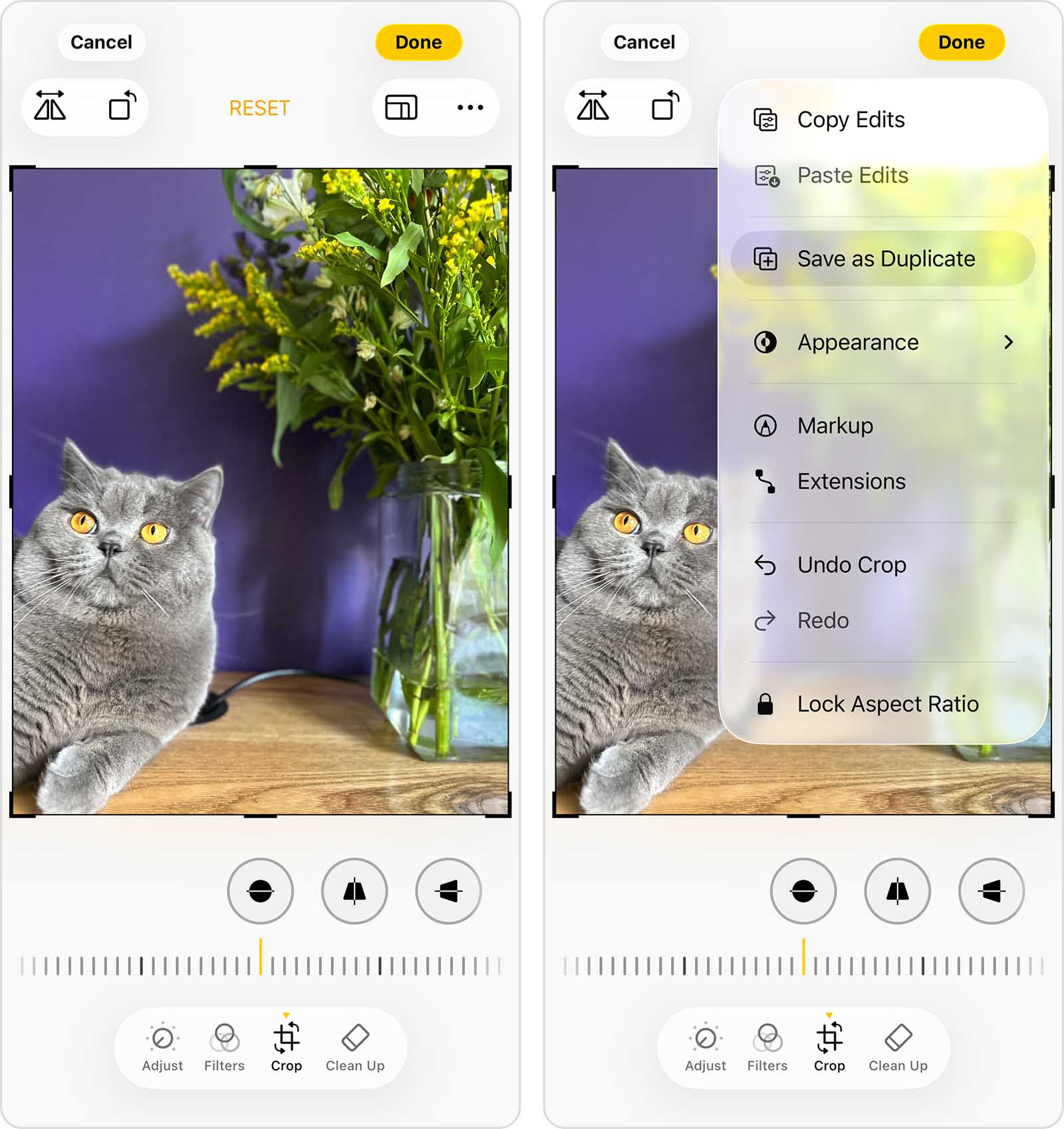 Saving a duplicate copy of a photo after editing on iPhone.
