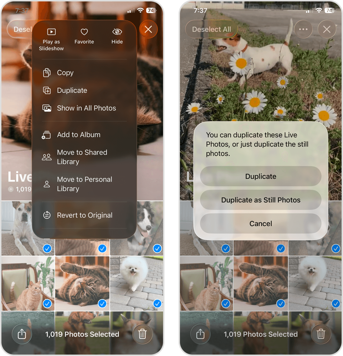 Duplicate as Still Photo option