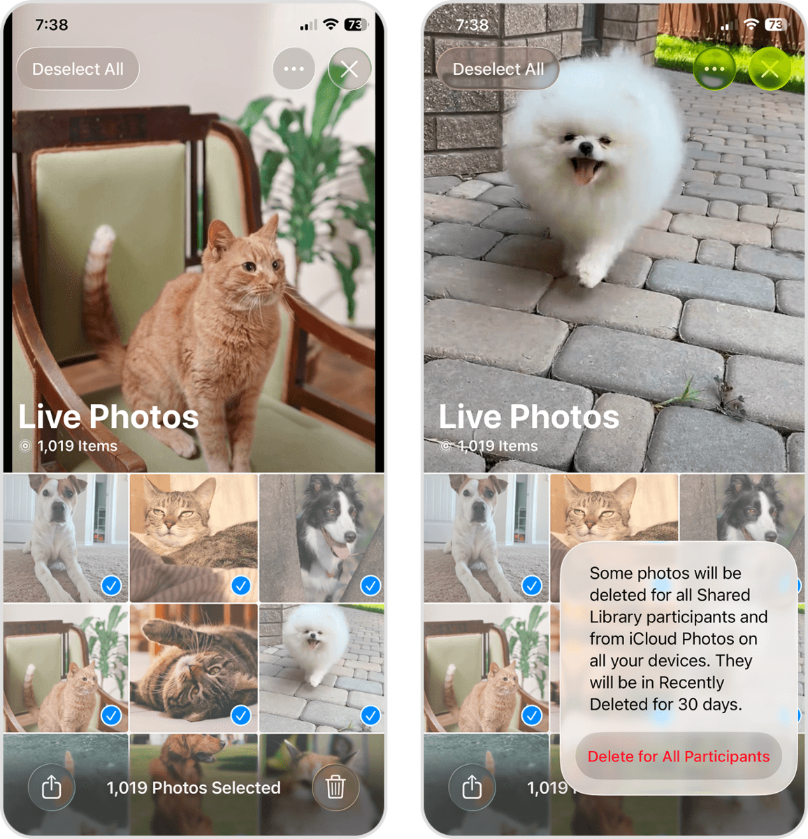 Delete confirmation dialog for Live Photos