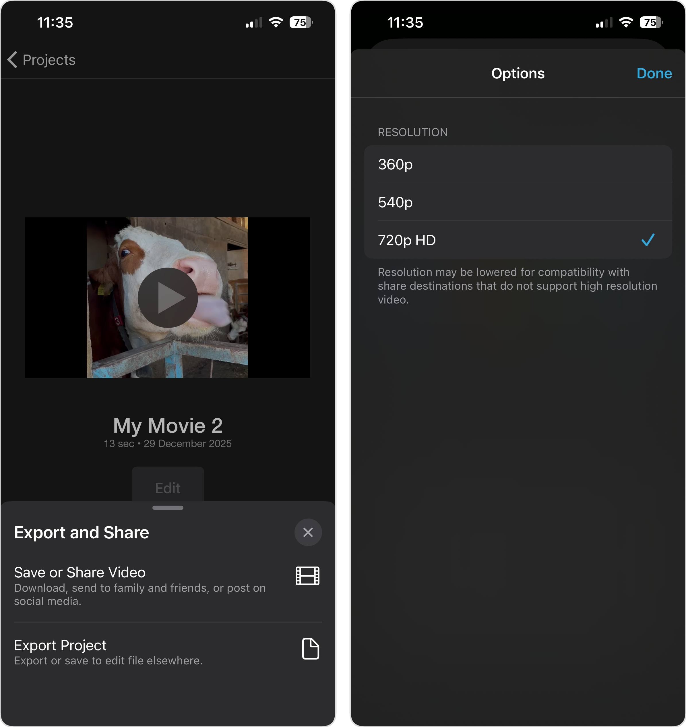 iMovie Export Menu to Save or Share Video