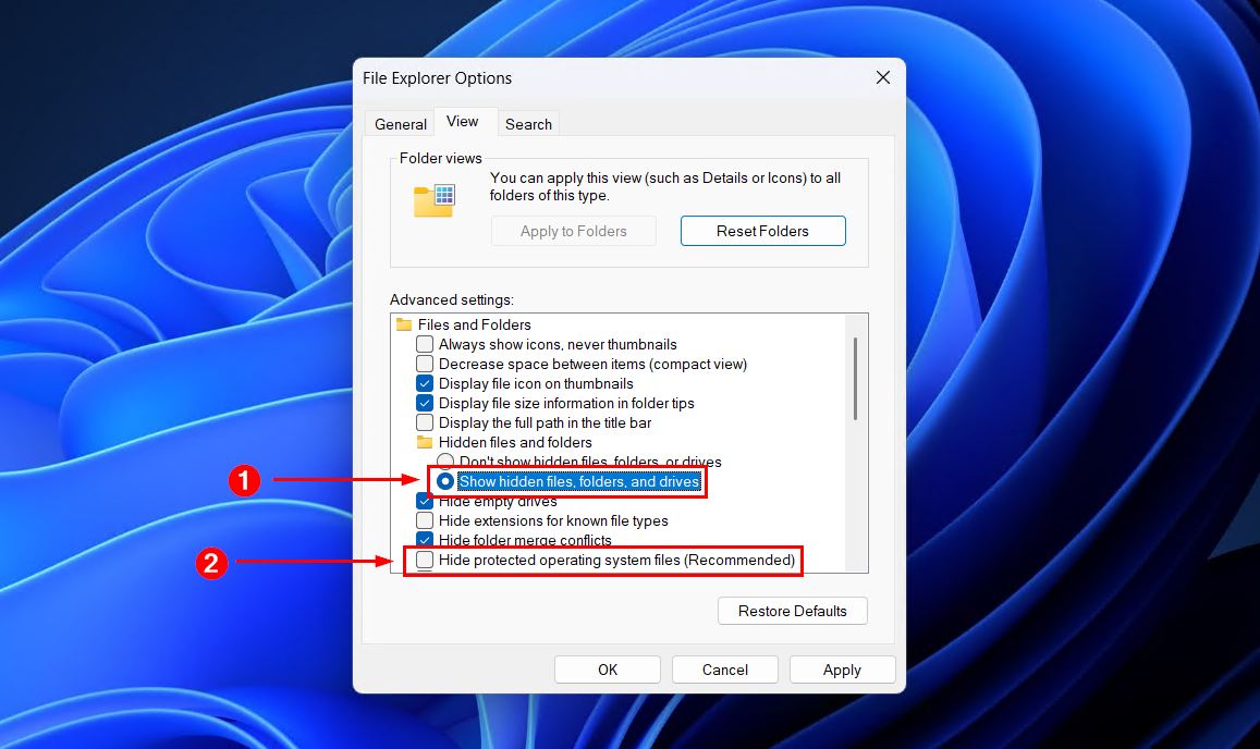 Showing hidden Recycle Bin.
