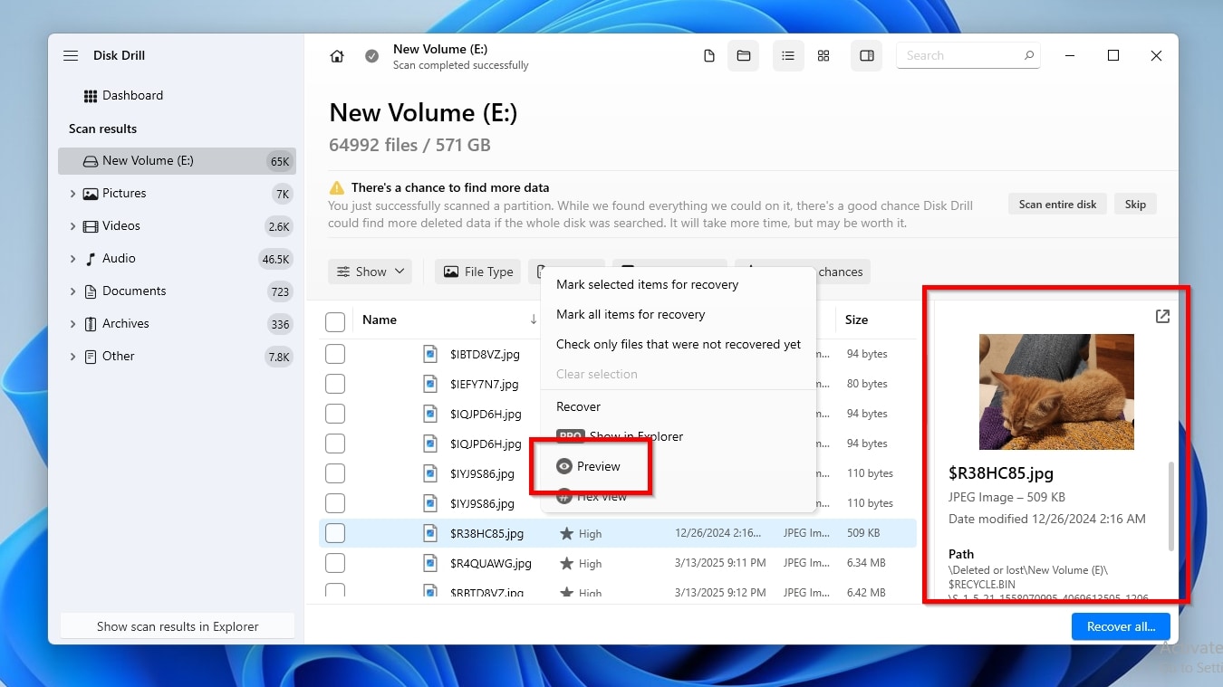 Disk Drill Results Preview