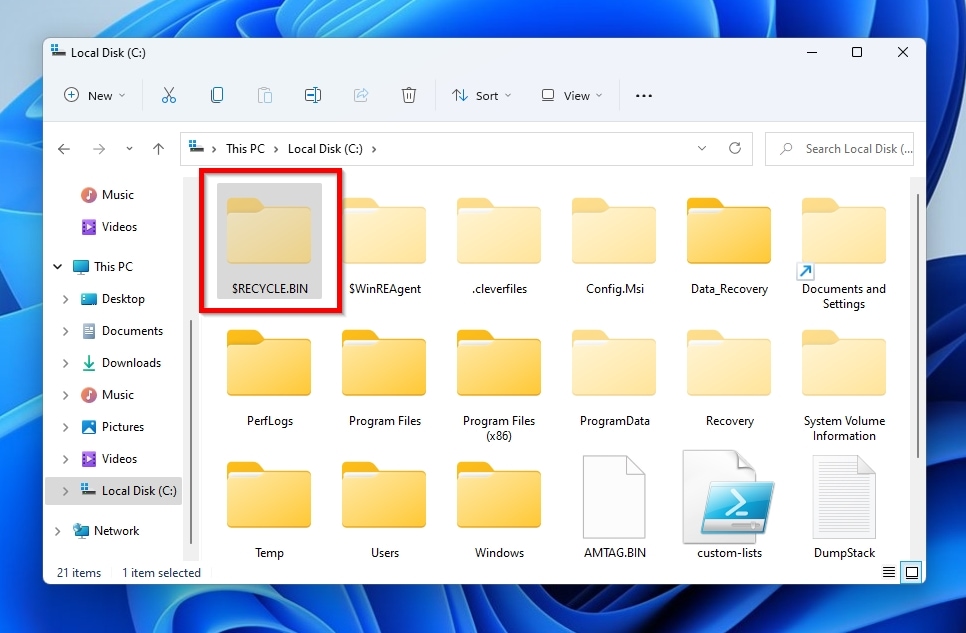 Recycle Bin Hidden Folder in Windows File Explorer