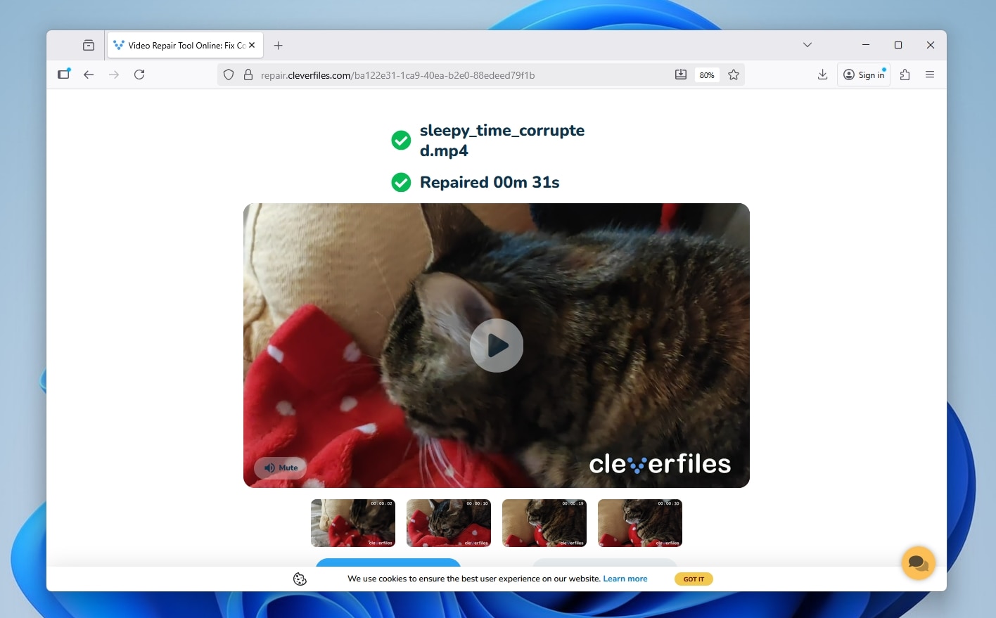 Clever Online Video Repair Video Repaired