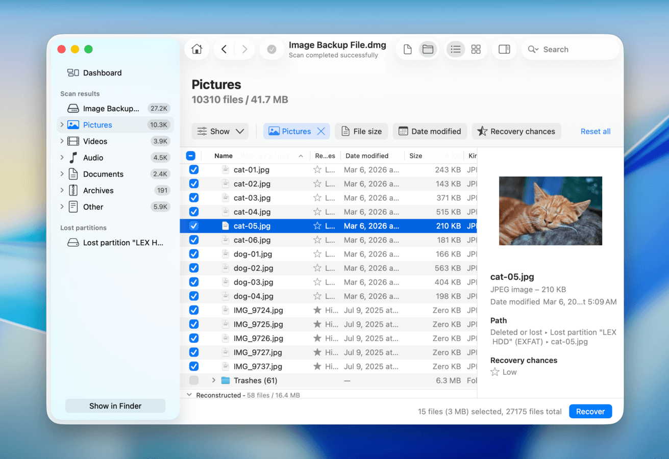 Disk Drill file selection and preview tools