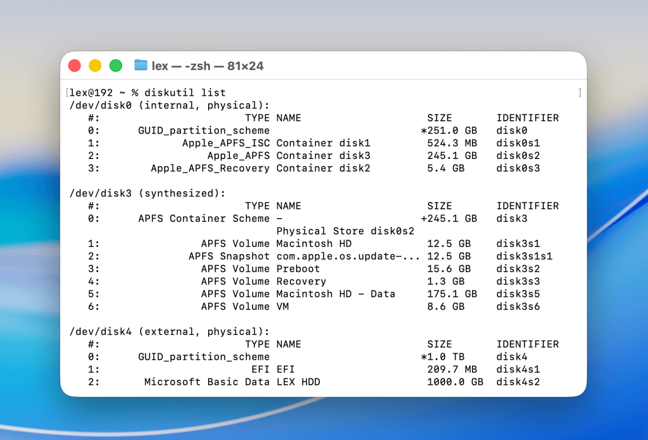 Running the diskutil list command in Terminal