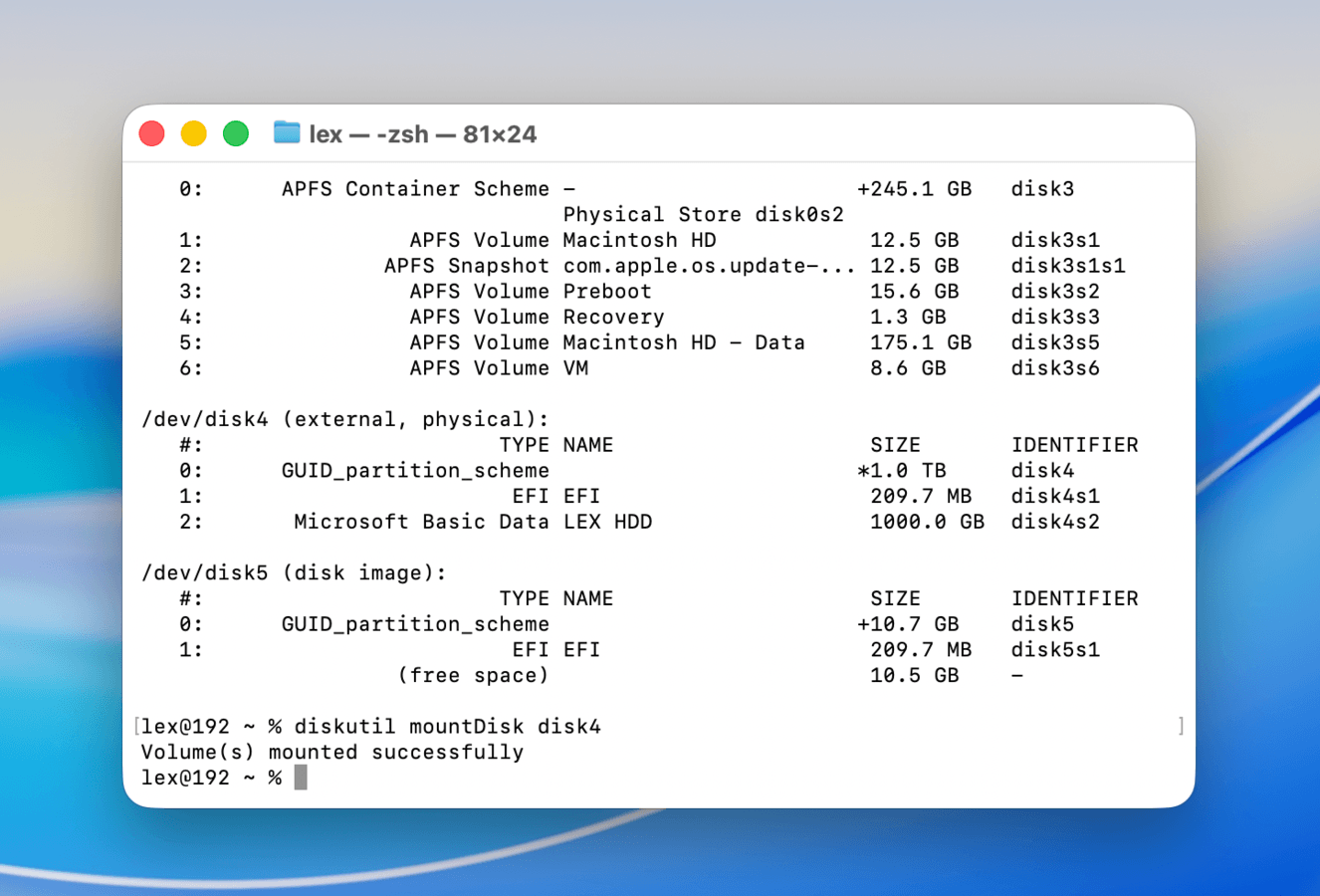 Running the mountDisk command in Terminal
