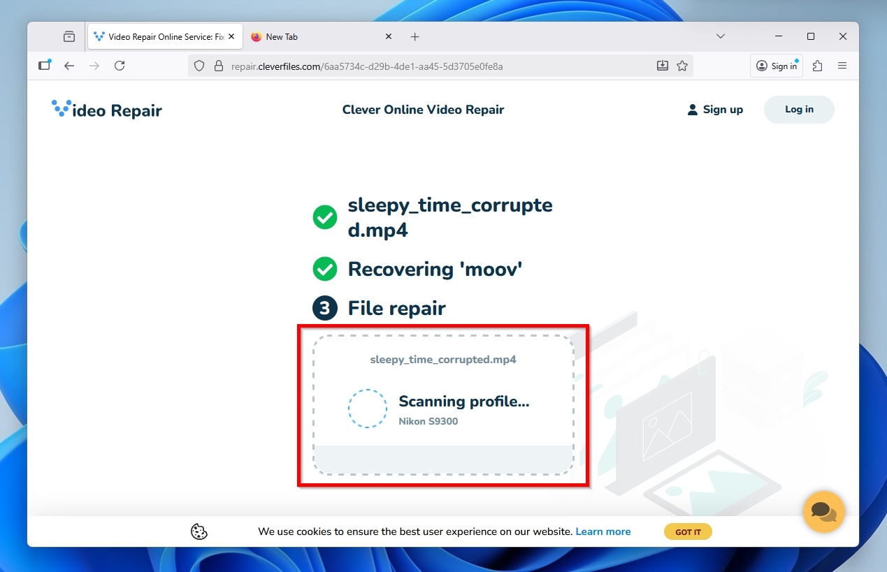 Clever Online Repair Analyzing Uploaded File