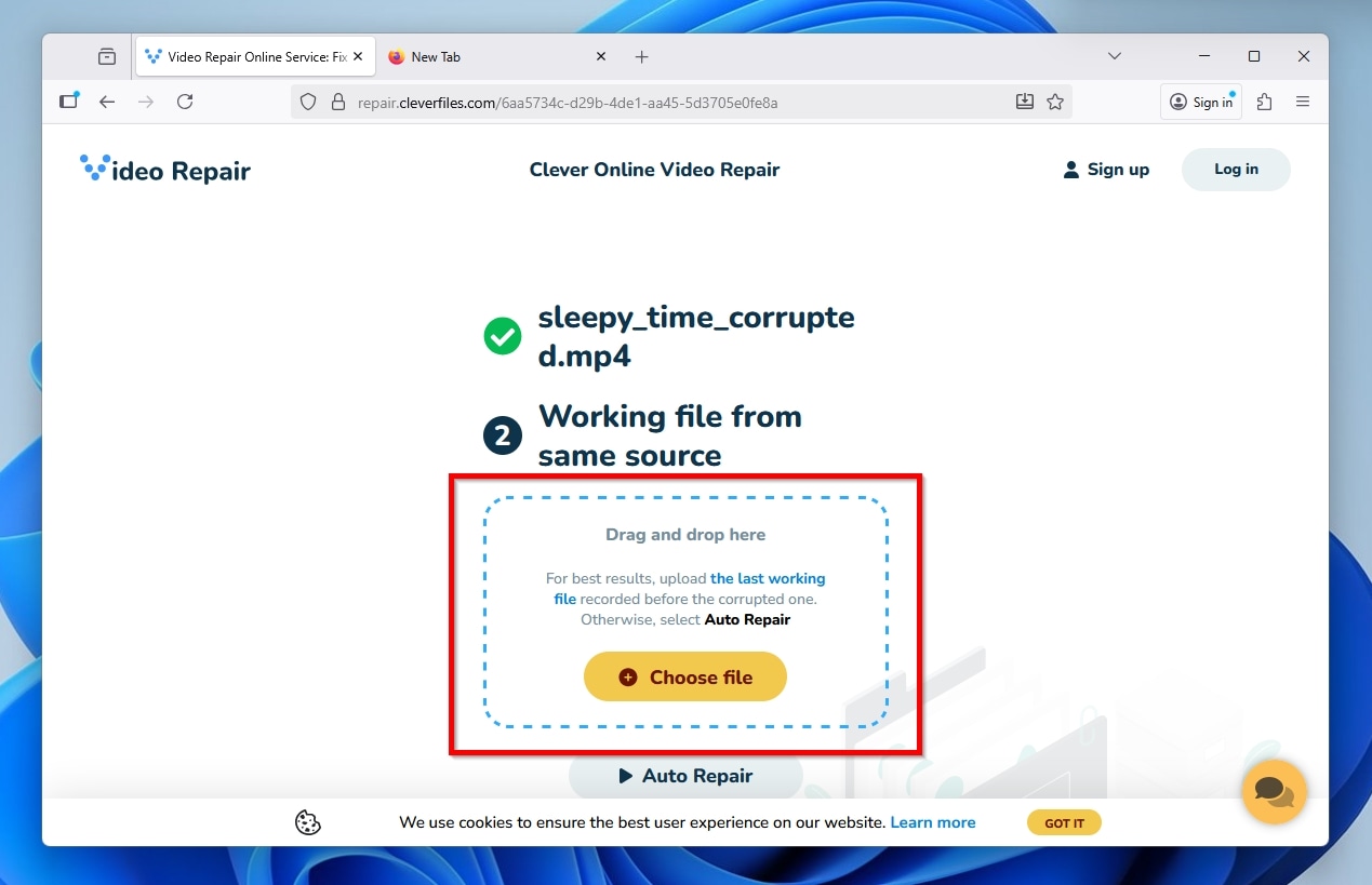 Clever Online Repair Source File