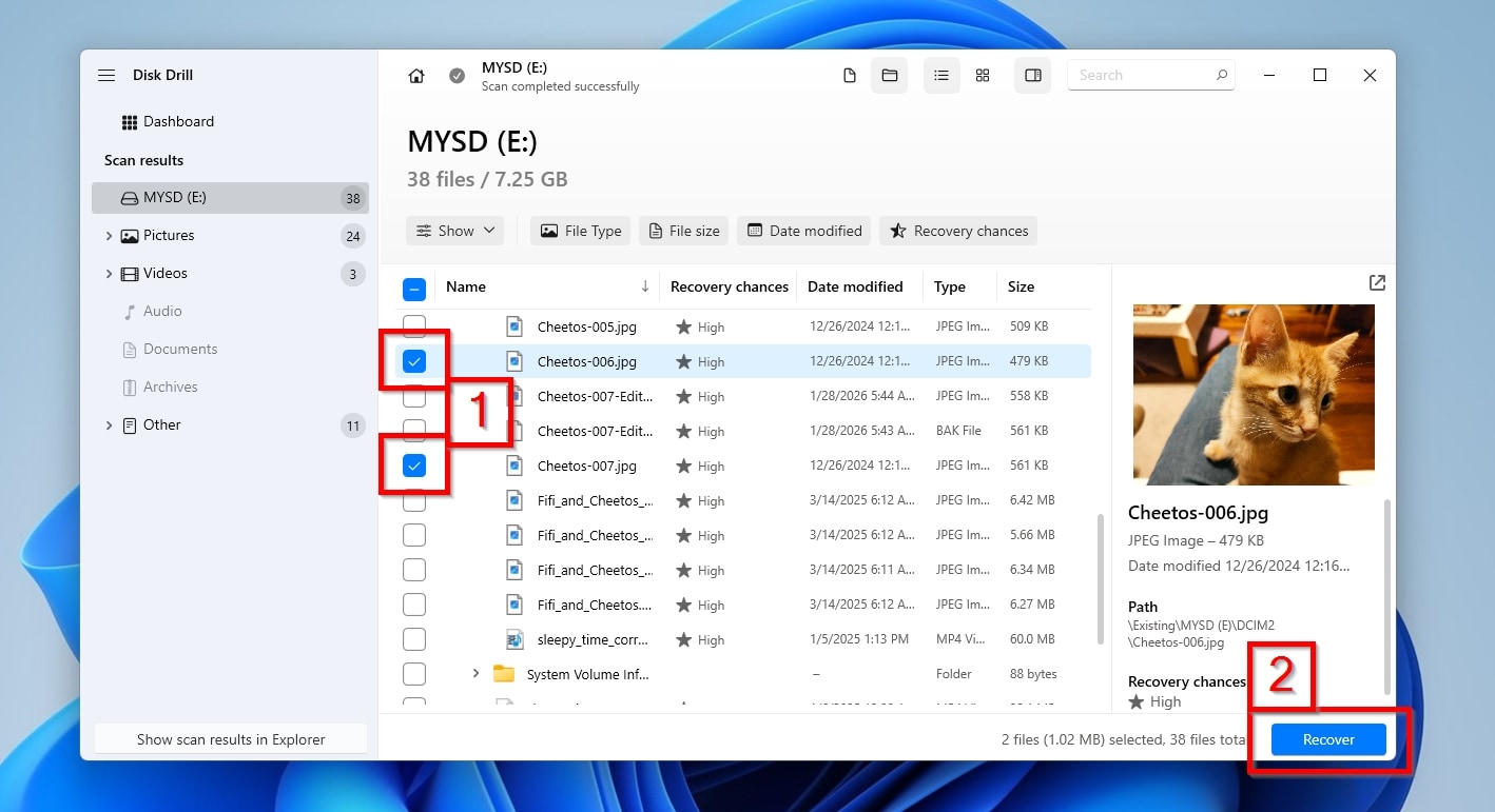 Disk Drill File Selection And Recover