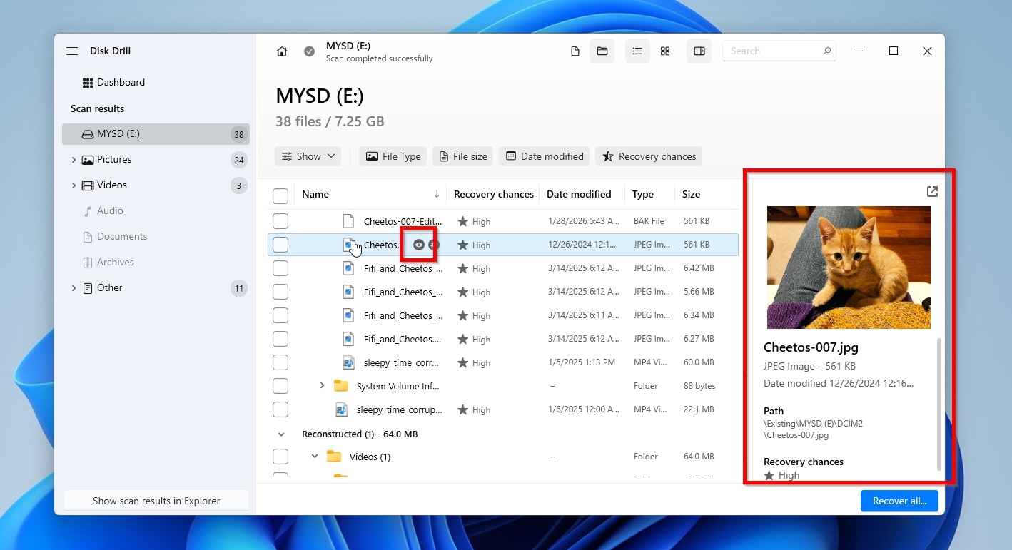 Disk Drill Preview Files