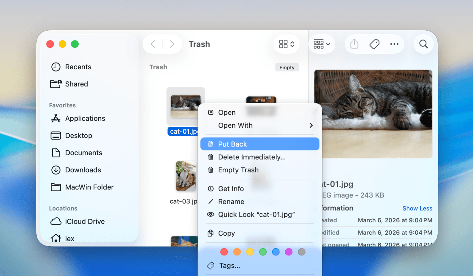 Recovering files from the Trash folder using the Put Back option