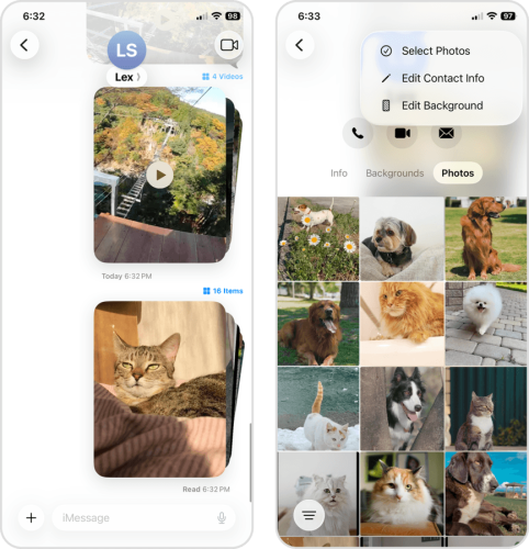Media attachments in a contact page in the Messages app