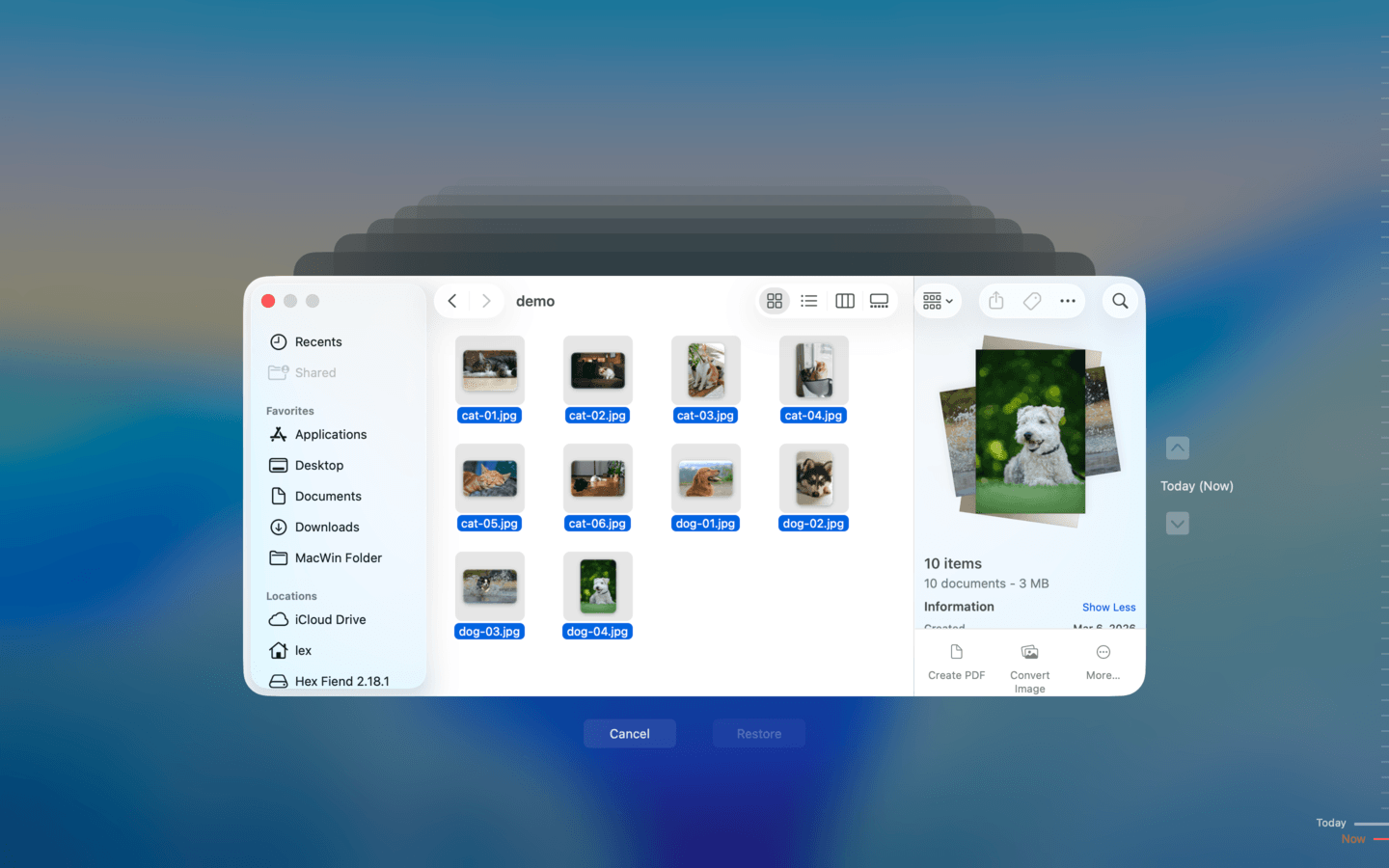 Selecting files in the Time Machine interface