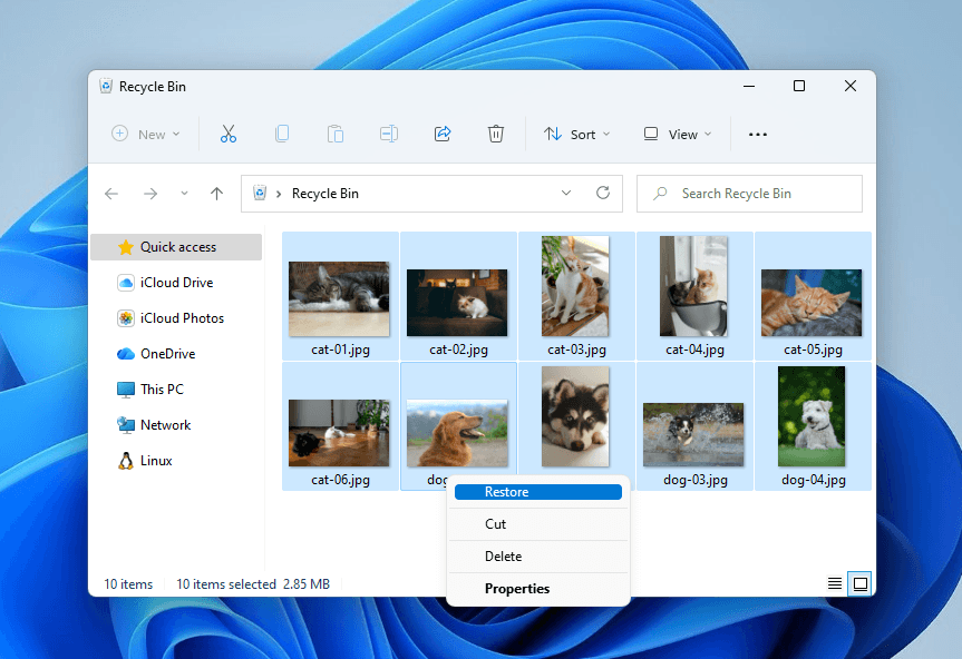 Restoring files from the Recycle Bin