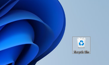 Recycle Bin icon on the Desktop