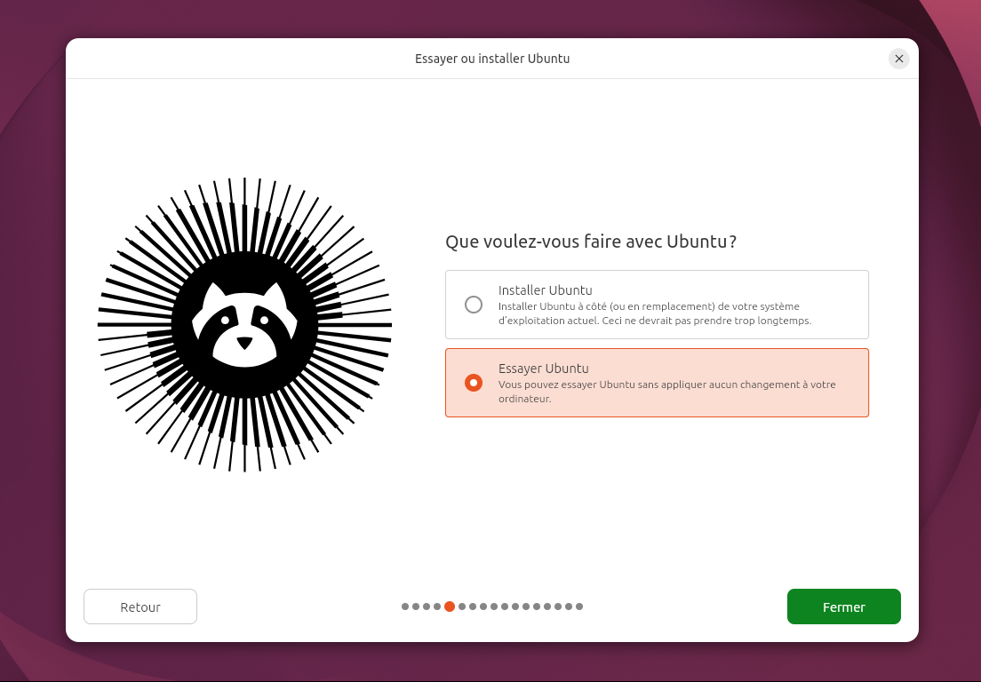 Cliquez sur « Essayer Ubuntu » au lieu de l'installer.