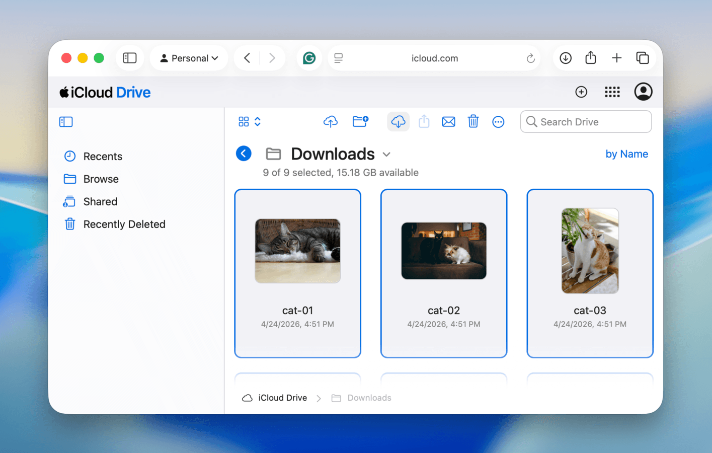 Saving files from the Downloads folder in the iCloud website