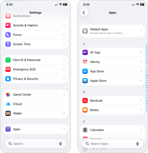 iPhone App Store settings