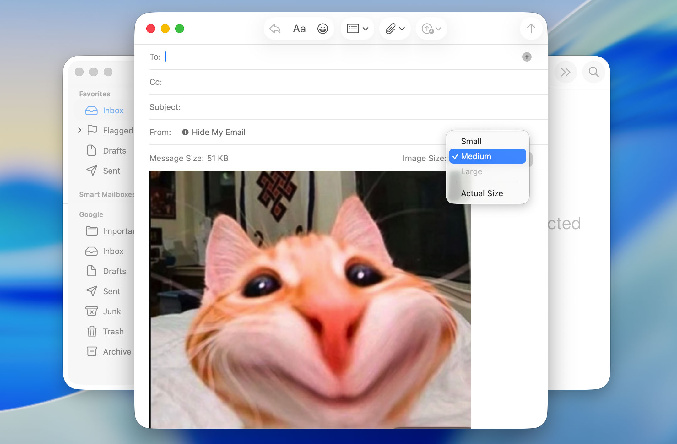 Choose image size in the Mail app.