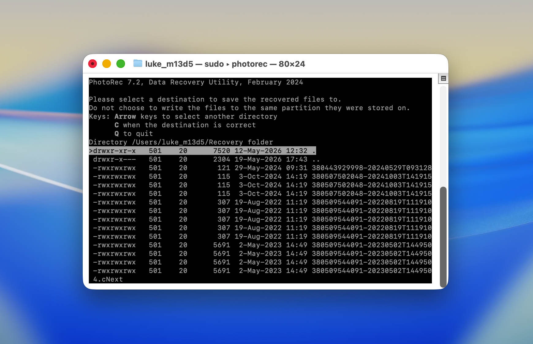 Mac Terminal PhotoRec destination