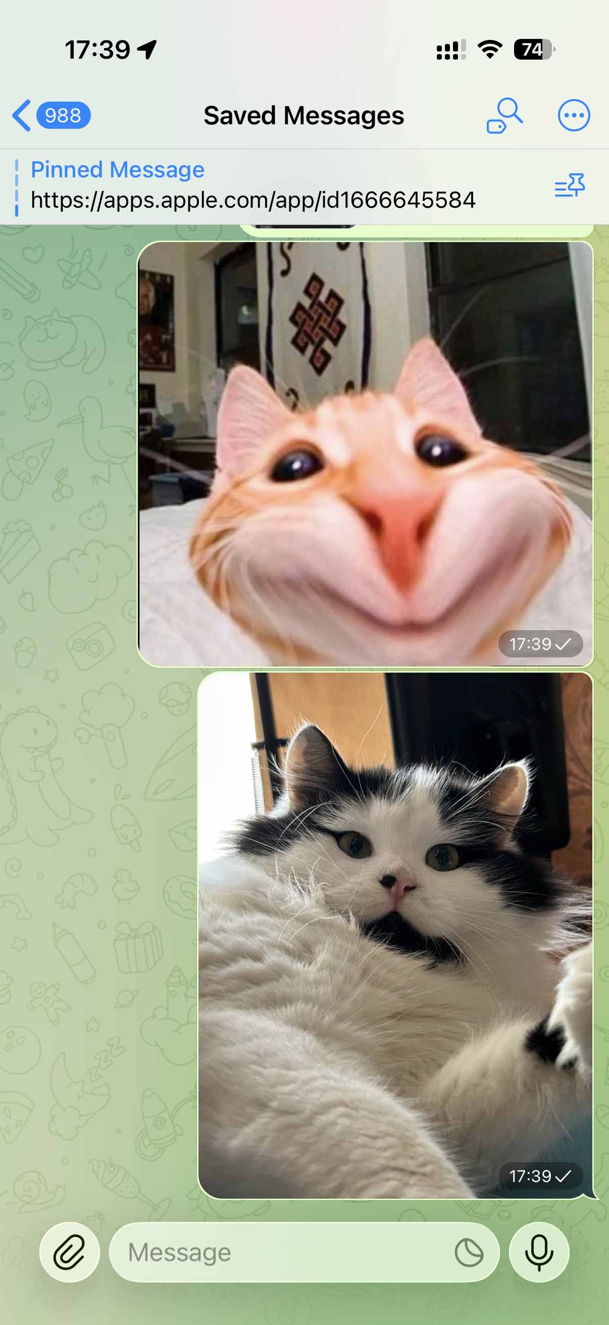 Telegram Saved Messages chat.